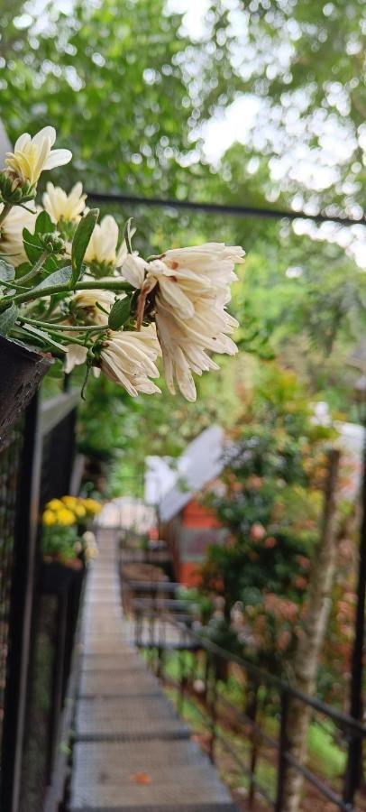 Santhi Hill View Resort Munnar Ngoại thất bức ảnh